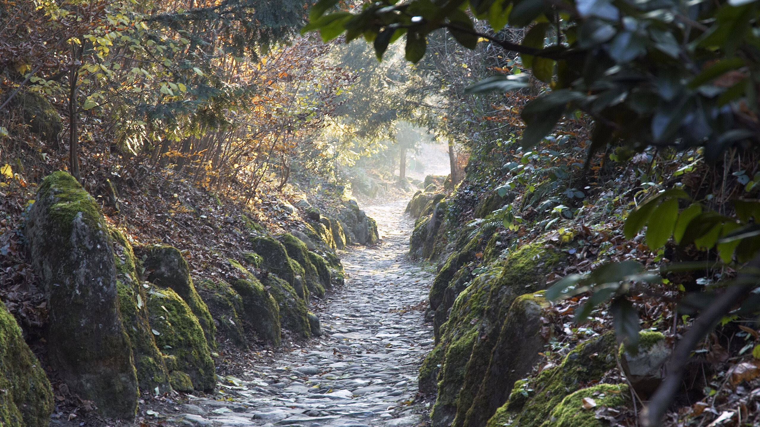 Morgenstimmung in der Hohlen Gasse in Küssnacht.